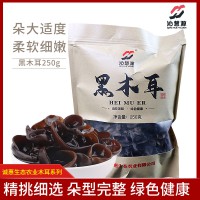 山陽(yáng)縣沁慧源黑木耳500g/袋 秦嶺特級(jí)木耳