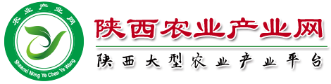 陜西農業(yè)產業(yè)網(wǎng)